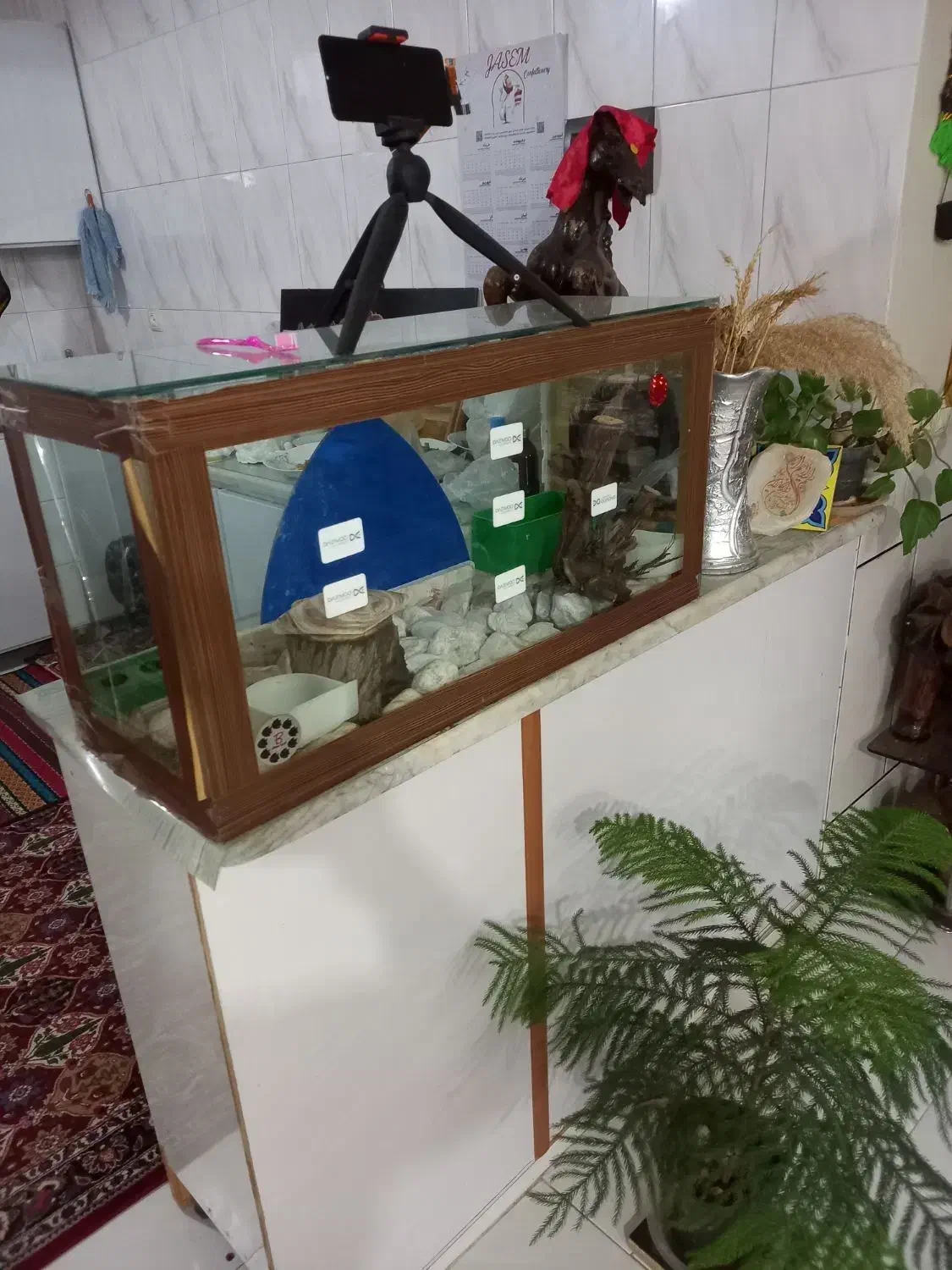 آکواریوم|ماهی|برخوار, |دیوار