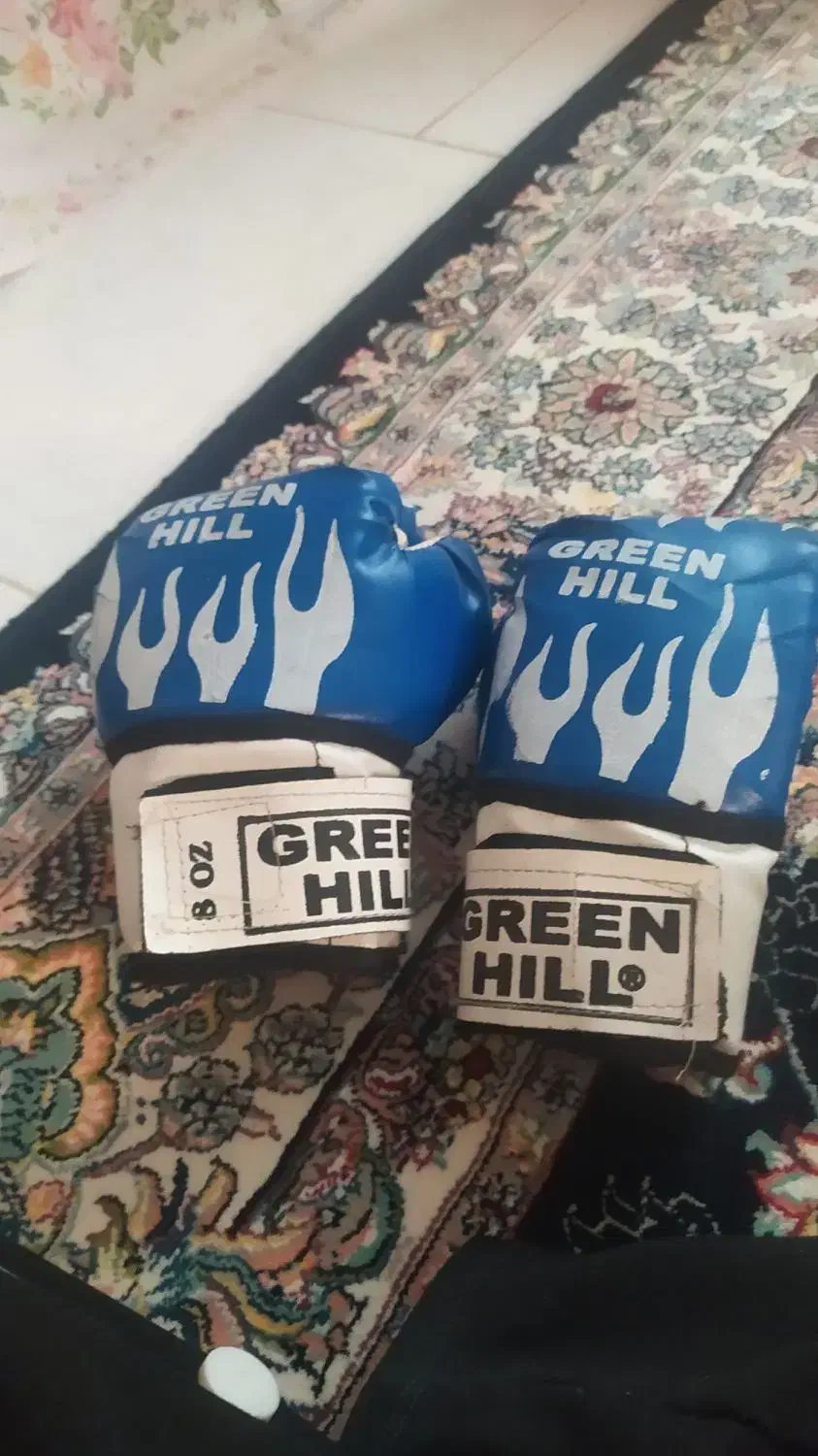 دستکش بوکس|تجهیزات ورزشی|همدان, |دیوار