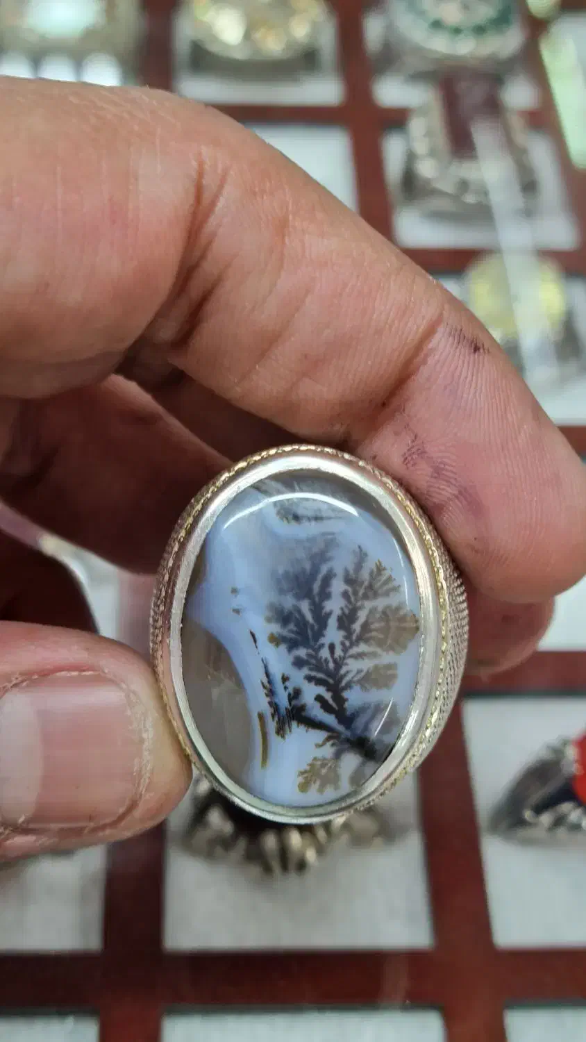 شجر خوشگل|جواهرات|یزد, |دیوار