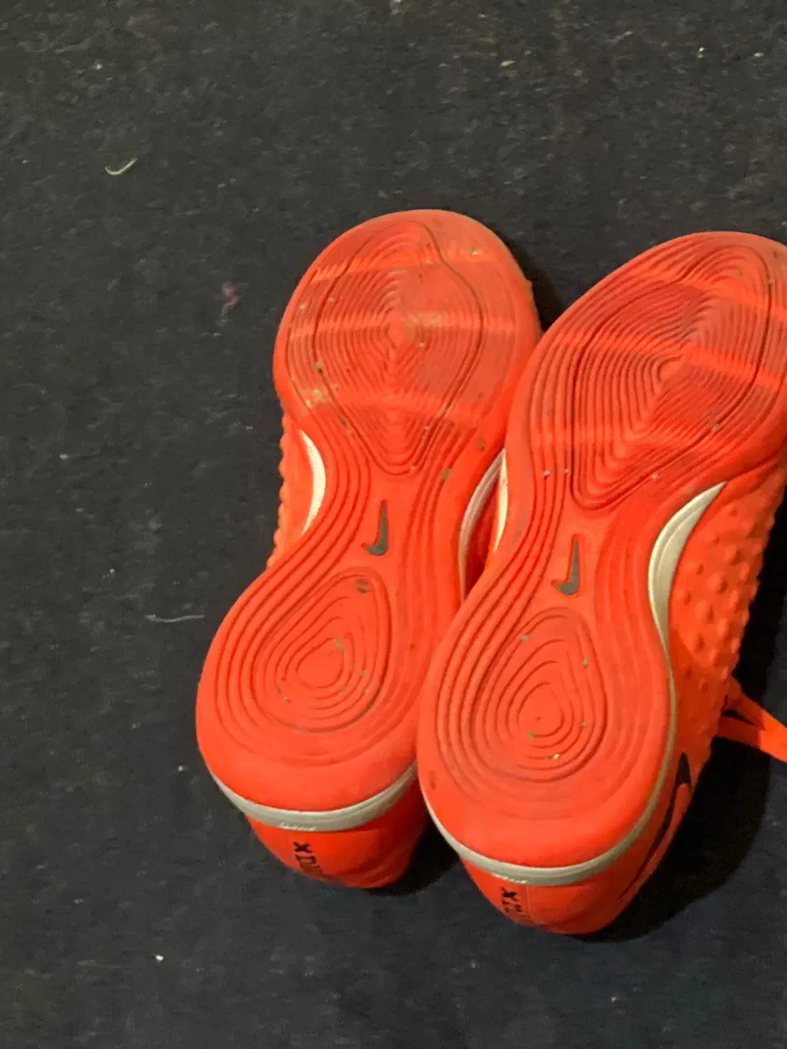 کفش سالن|کیف، کفش، کمربند|مشهد, هنرستان|دیوار