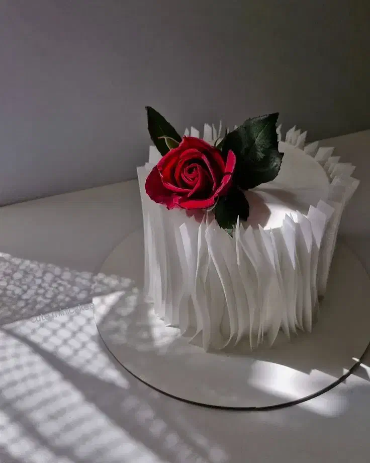 تیکه کیک|حراج|نیشابور, کوی یغما|دیوار