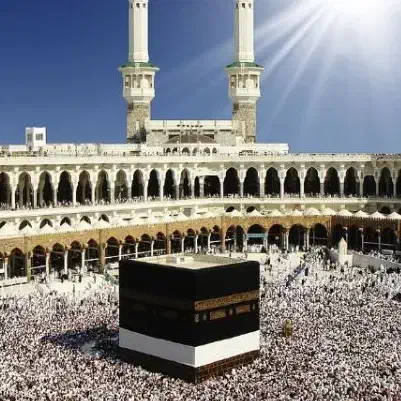 دوتا فیش حج واجب|تور و چارتر|زابل, |دیوار