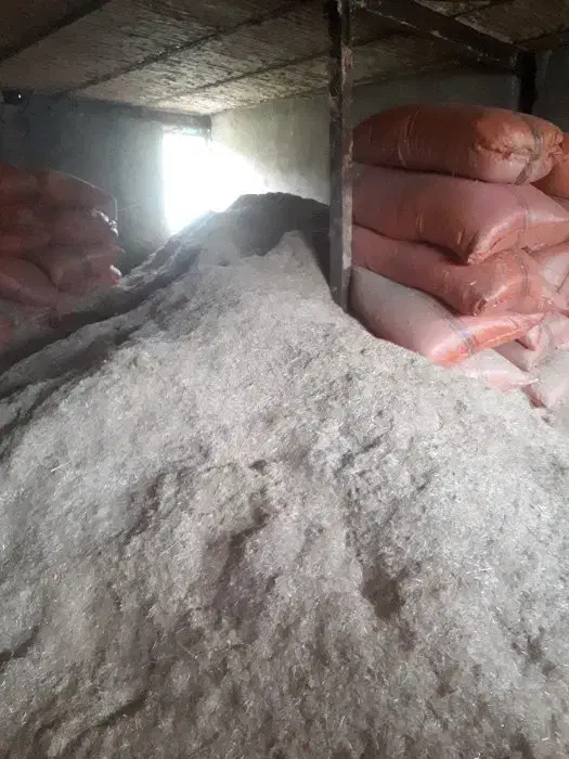 کاه گندم باکیفیت|خدمات باغبانی و درختکاری|ورامین, ورامین|دیوار