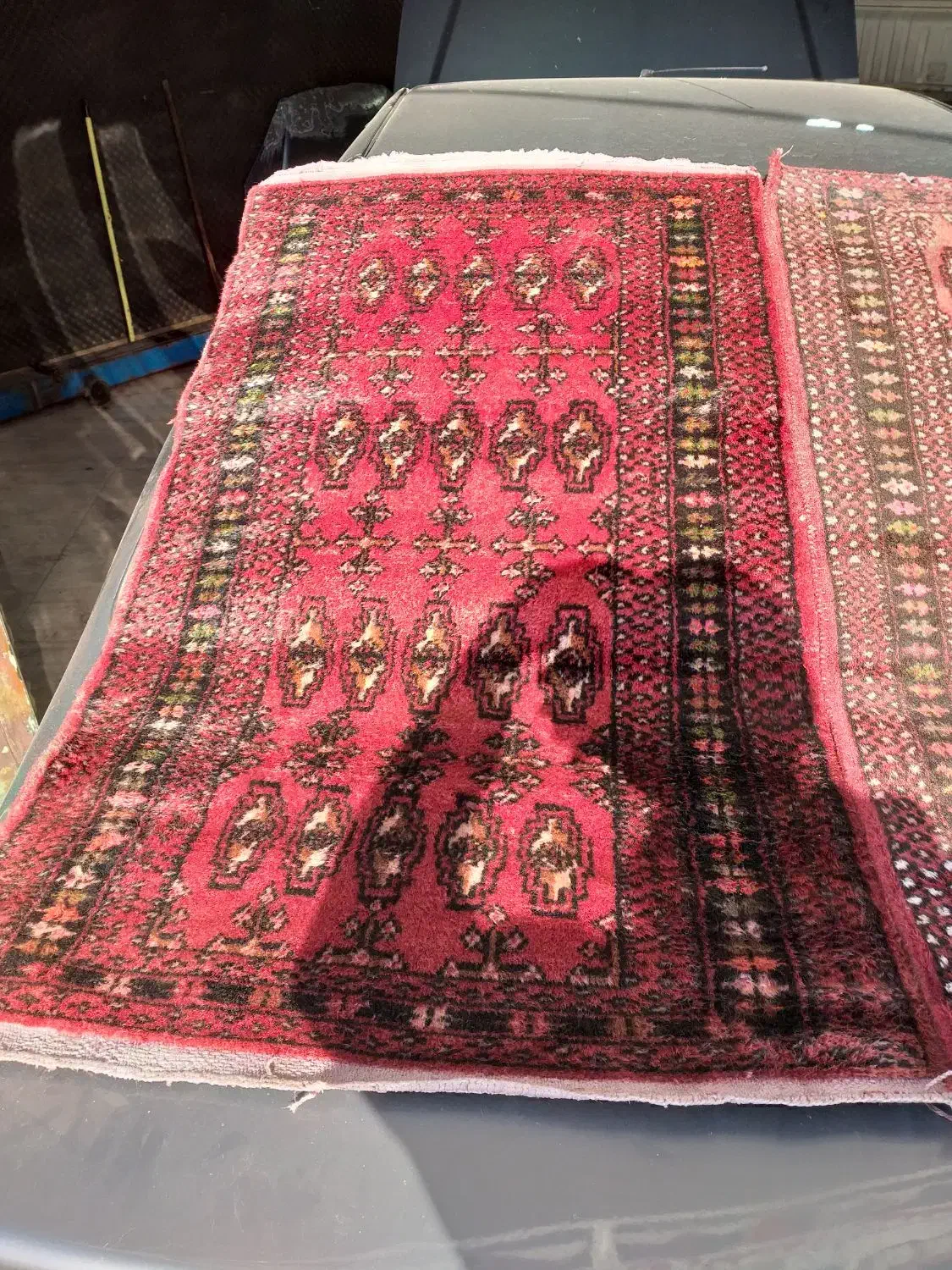 قالیچه دستباف ۵۰ سال قدمت|فرش|شهریار, شهریار|دیوار