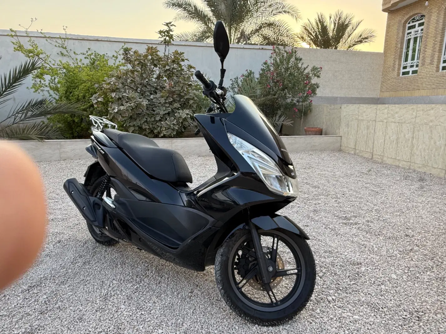 Pcx150|موتورسیکلت|گله دار, |دیوار