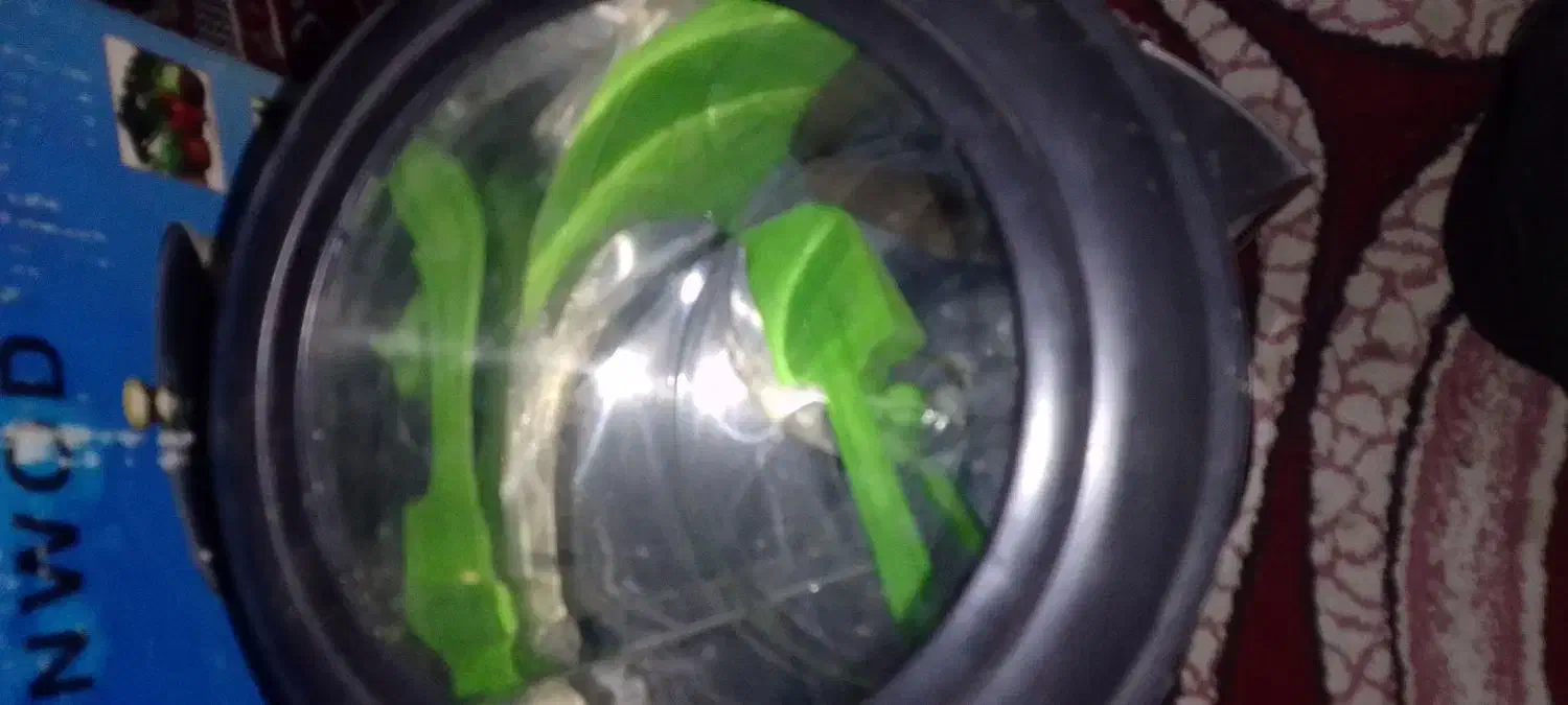 سبزی خرد کن|خردکن، آسیاب، غذاساز|شوشتر, |دیوار