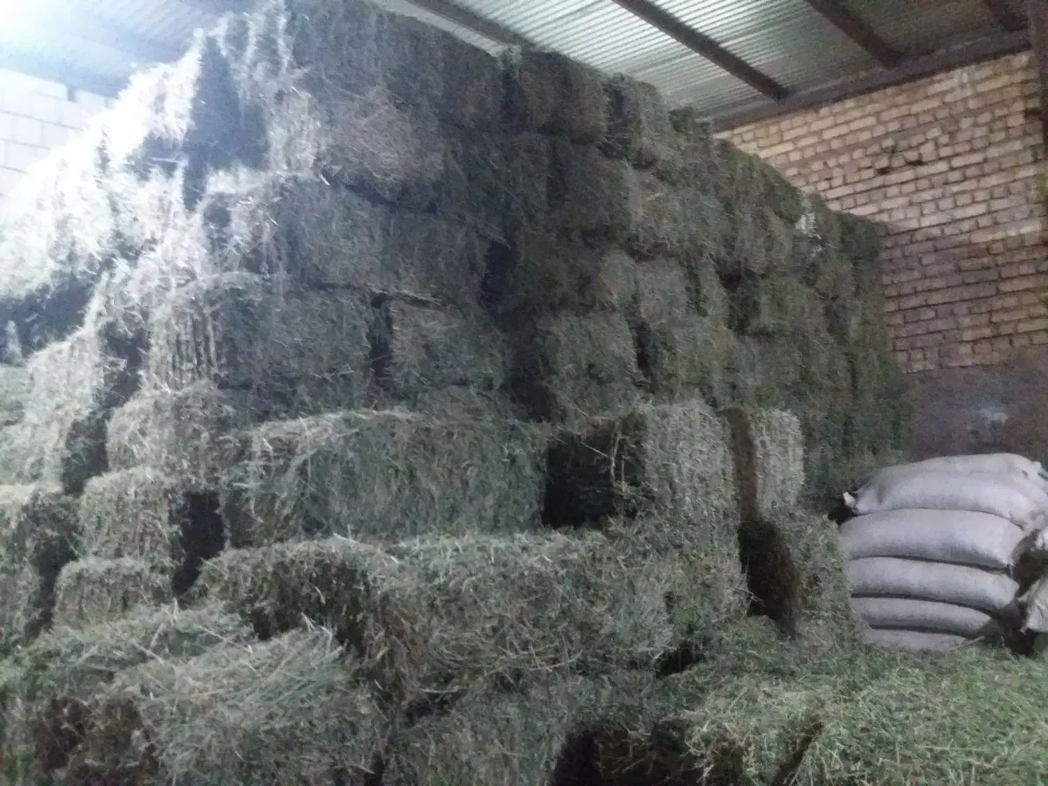 کاه. یونجه سبوس و جو و گندم تفاله|لوازم جانبی حیوانات|اصفهان, خانه اصفهان|دیوار