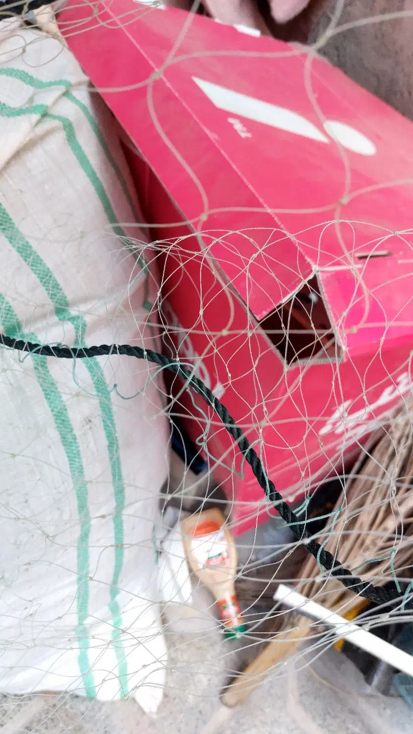 طور ماهی گیری|ماهیگیری|بوشهر, |دیوار