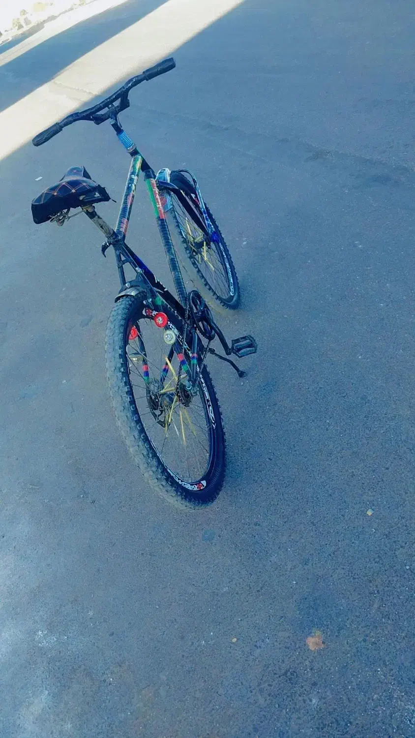 دوچرخه ۲۶خشک|دوچرخه، اسکیت، اسکوتر|نیمروز, |دیوار