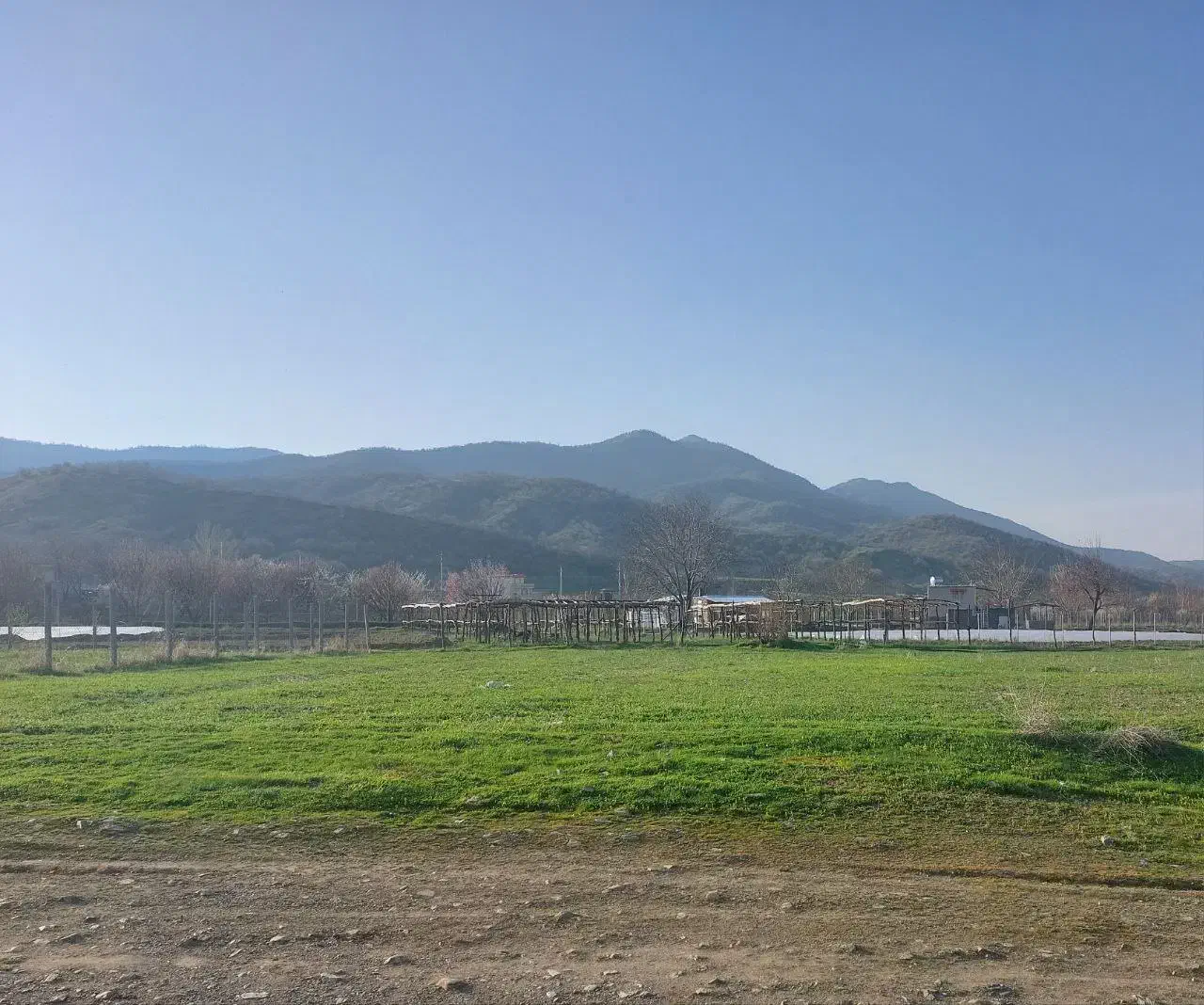 فروش زمین کشاورزی در جنب روستای چاوگ|فروش زمین و ملک کلنگی|سروآباد, |دیوار