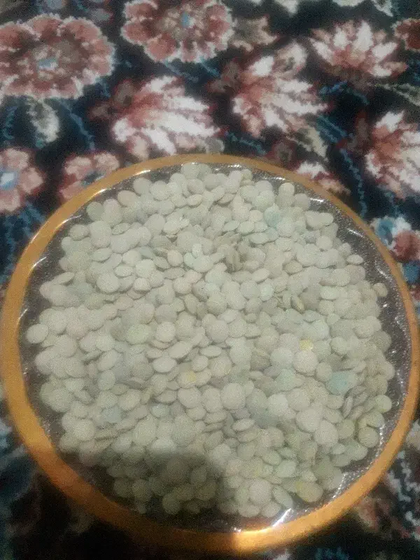 فروش عدس|خوردنی و آشامیدنی|بزینه رود, |دیوار