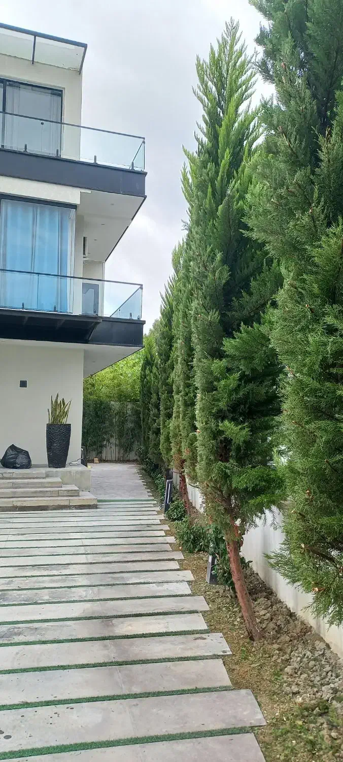 هرسکاری تخصصی با دستگاه و سمپاشی، علف تراش|خدمات باغبانی و درختکاری|چمستان, |دیوار