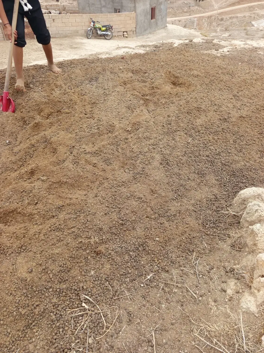 کود حیوانی (پووش)گوسفندی وگاوی سالخورده|خدمات باغبانی و درختکاری|قائمشهر, |دیوار