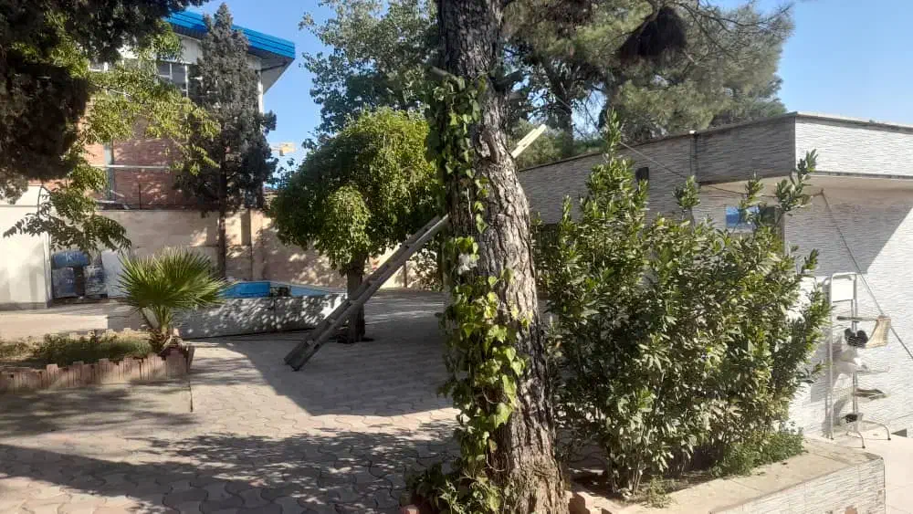 50هزار متر زمین منطقه ۲۰|فروش دفتر صنعتی، کشاورزی، تجاری|ری, صالحآباد شرقی|دیوار