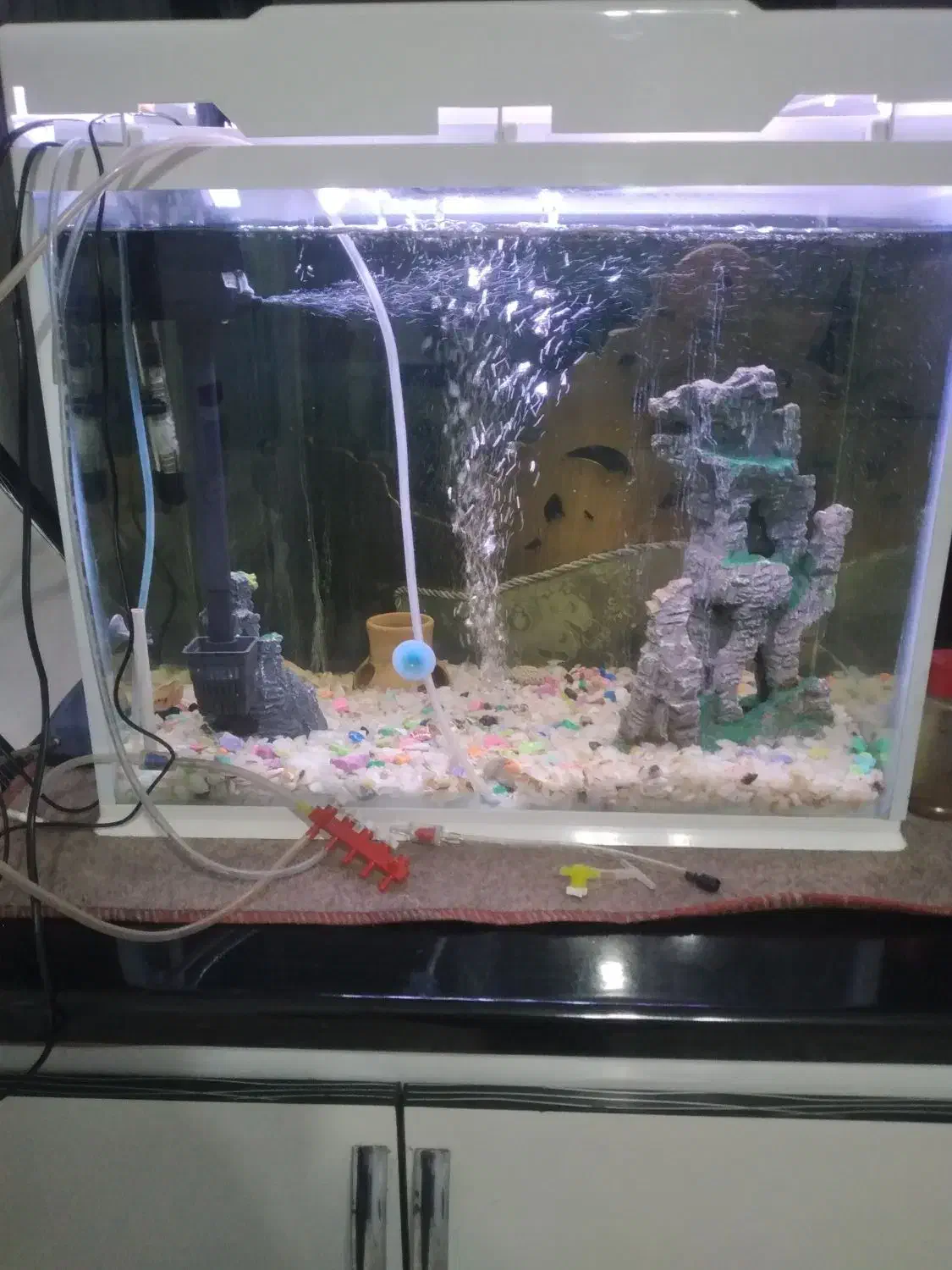 آکواریوم شیشه خم با تمام تجهیزات|ماهی|میاندوآب, |دیوار