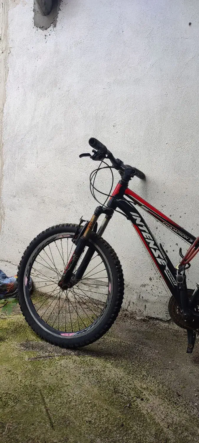 دوچرخه 24|دوچرخه، اسکیت، اسکوتر|بندر انزلی, ژاندارمری|دیوار