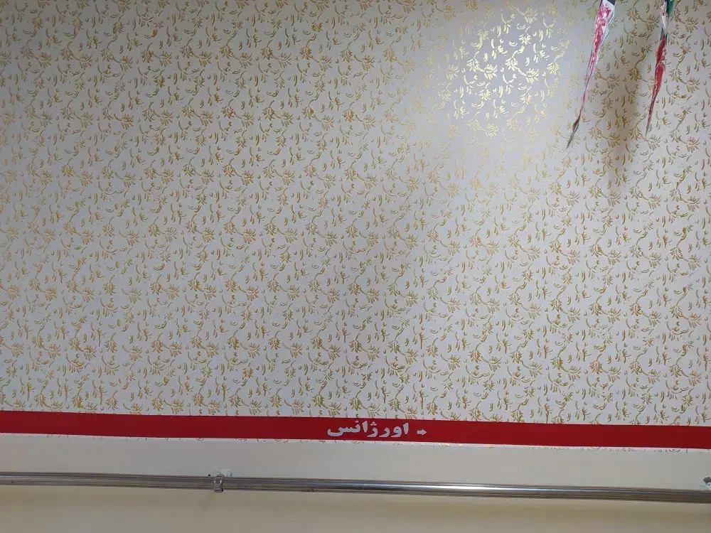 رنگ کاری ساختمان|خدمات پیشه و مهارت|ایلام, |دیوار