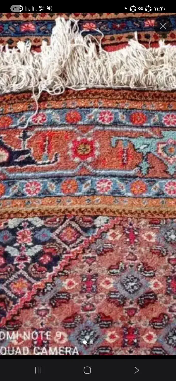 فرش طبیعی در حد ۳در۴|فرش|پارس‌آباد, |دیوار