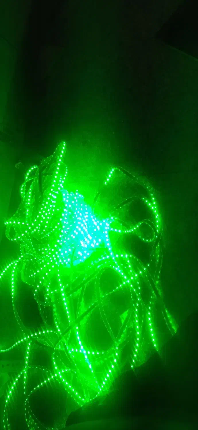 ریسه نواری سبز220ولت|ریسه و چراغ تزئینی|بناب, |دیوار