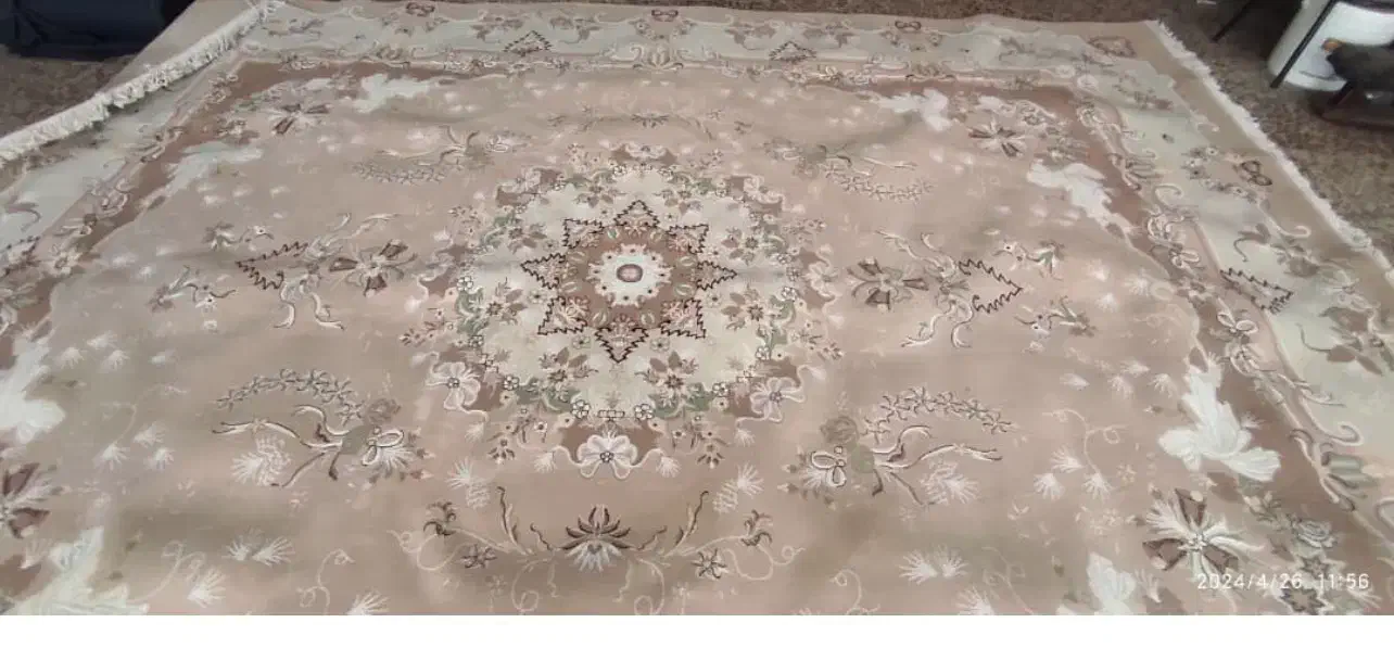 فرش  ۱۲متری|فرش|رشت, پاستوریزه|دیوار