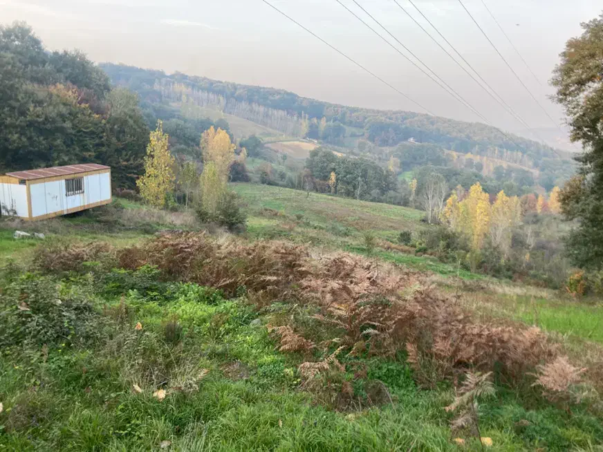 اجاره زمین ۲هکتاری در روستا شکتا ساری سرمایه گذاری|اجارهٔ دفتر صنعتی، کشاورزی، تجاری|ساری, |دیوار