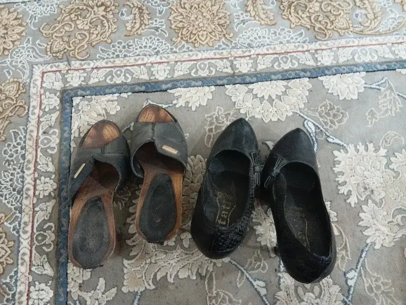 کفش|کیف، کفش، کمربند|میبد, |دیوار