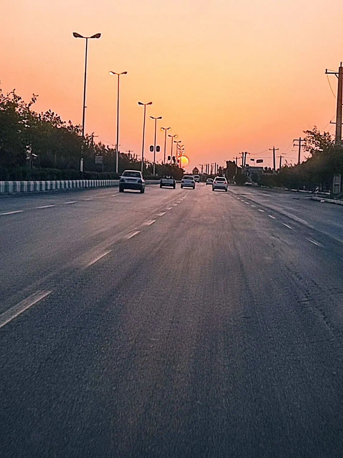 سرگرمی و راهنمایی|فعالیت داوطلبانه تحقیقاتی|یزد, |دیوار