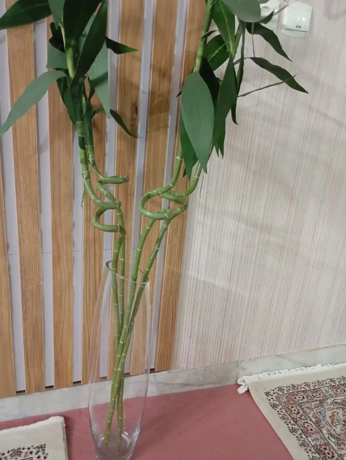 گل بامبو و گلدان|گل مصنوعی|خوانسار, |دیوار