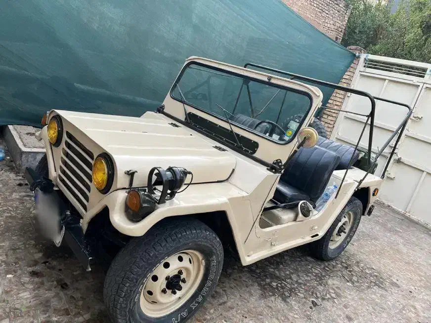 جیپ میول میوت|خودرو کلاسیک|دزفول, |دیوار