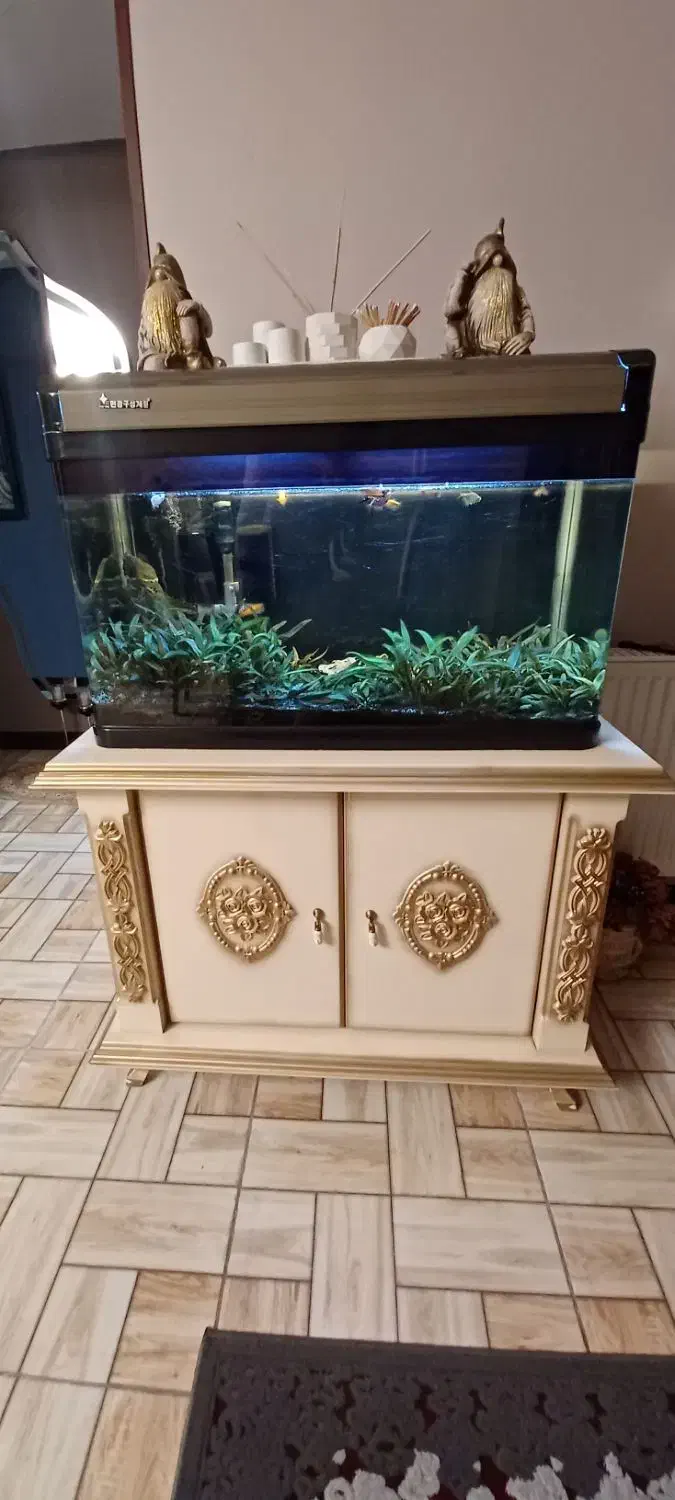 آکواریوم درب دار شیشه خم|ماهی|صدرا-فارس, فاز ۱|دیوار