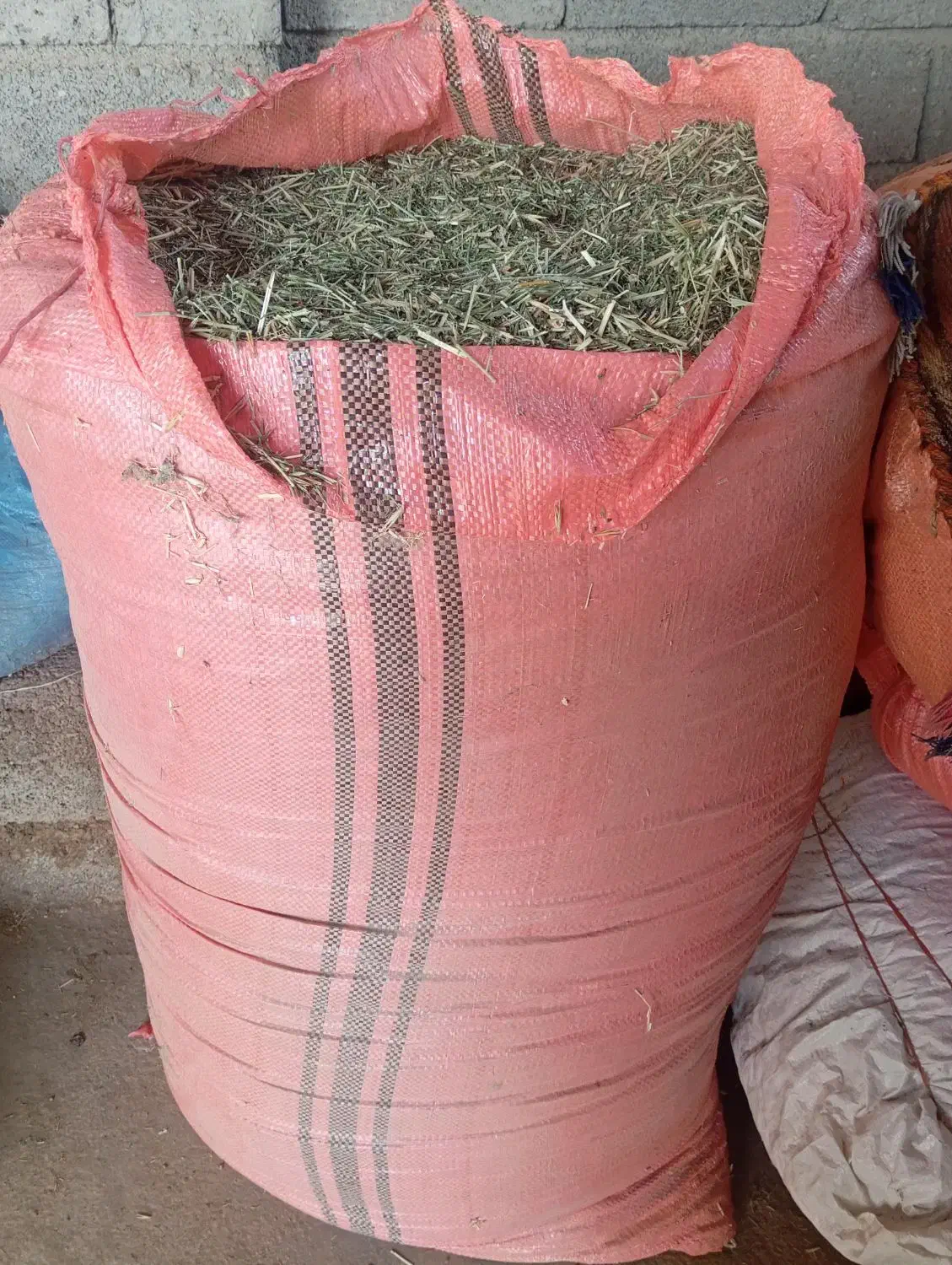 یونجه|لوازم جانبی حیوانات|جره و بالاده, |دیوار