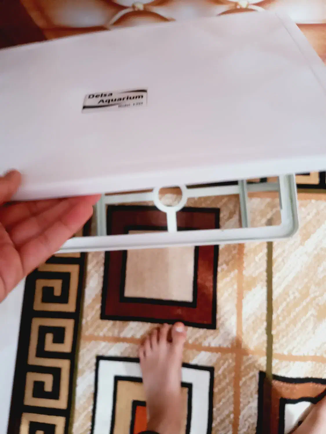 آب فارون|ماهی|ایرانشهر, |دیوار