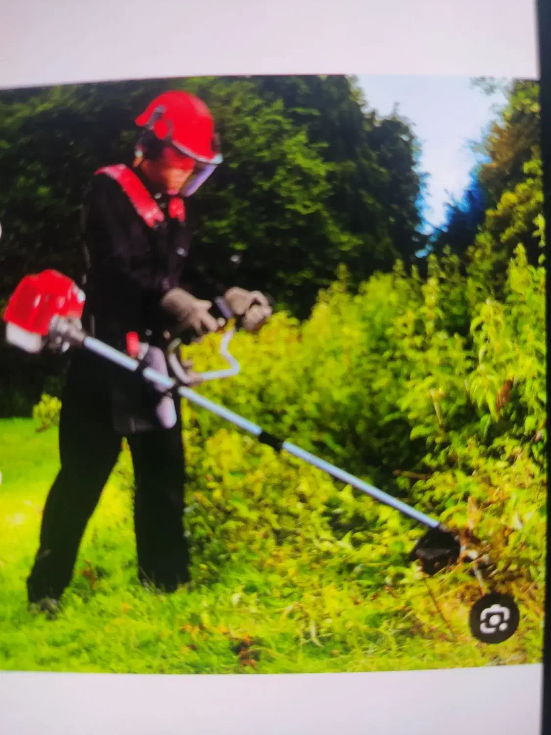 چمن زنی و اره موتوری|خدمات باغبانی و درختکاری|اسالم, |دیوار