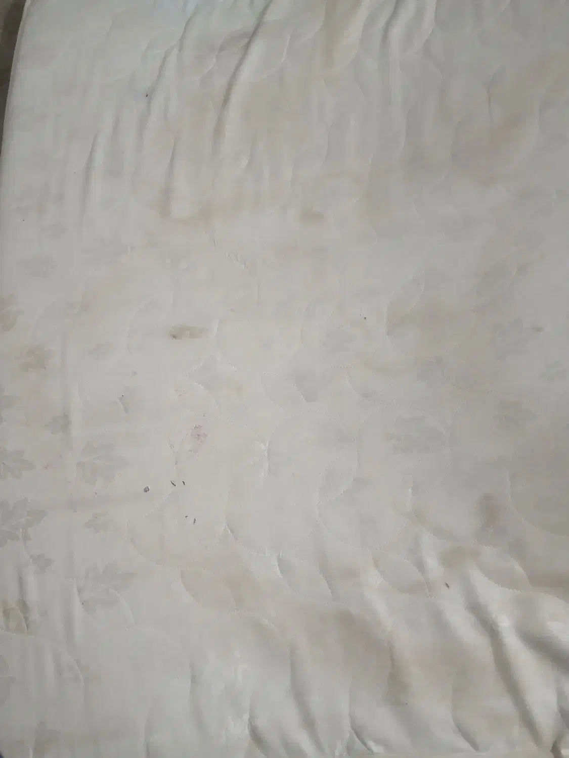 تشک تخت دونفره|تشک تختخواب|گرگان, |دیوار