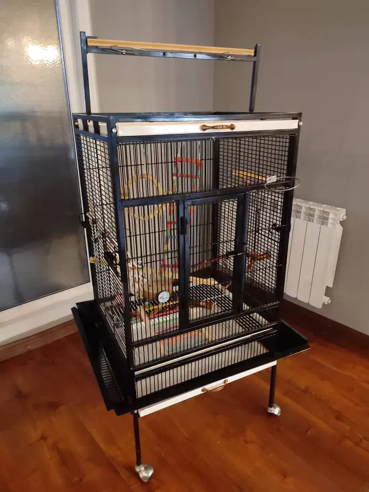 دو عدد قفس+وسایل بازی پرنده+کیف حمل پرنده|لوازم جانبی حیوانات|نوشهر, |دیوار