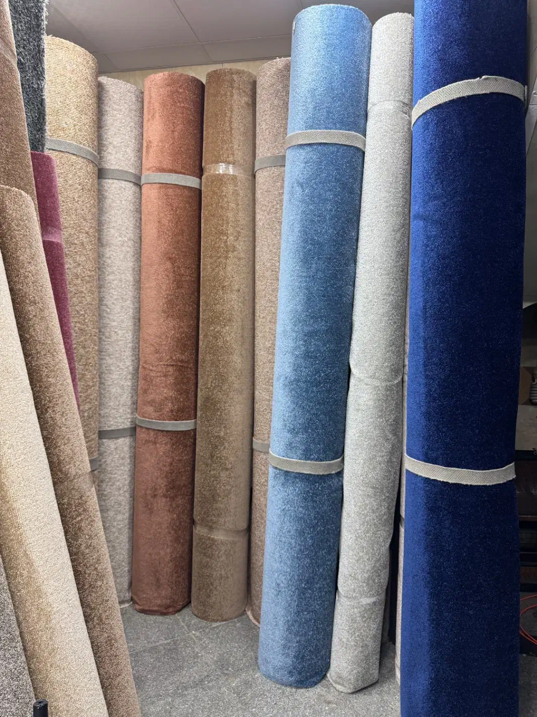 پخش پالاز موکت اصلی ورامین قرچک پیشوا چرمشهر|موکت|ورامین, ورامین|دیوار