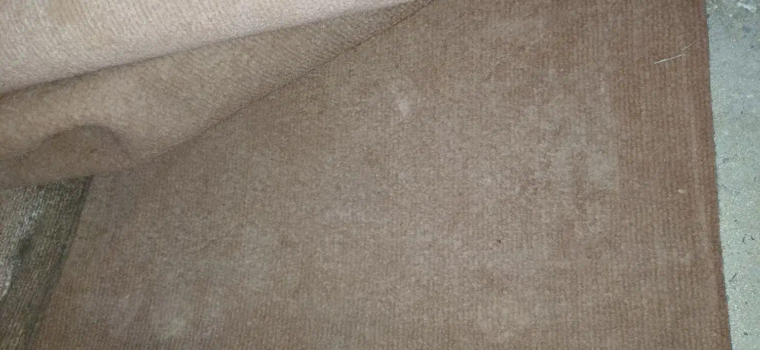 موکت|موکت|اهواز, پردیس|دیوار