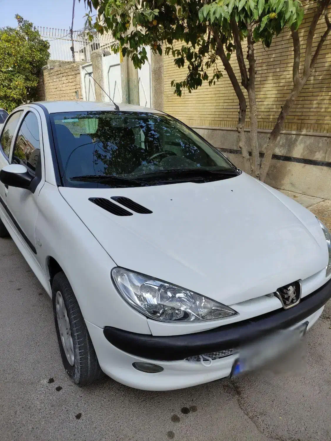 206سفید ۸۶ تیپ سه|خودرو سواری و وانت|شیراز, کیان شهر|دیوار