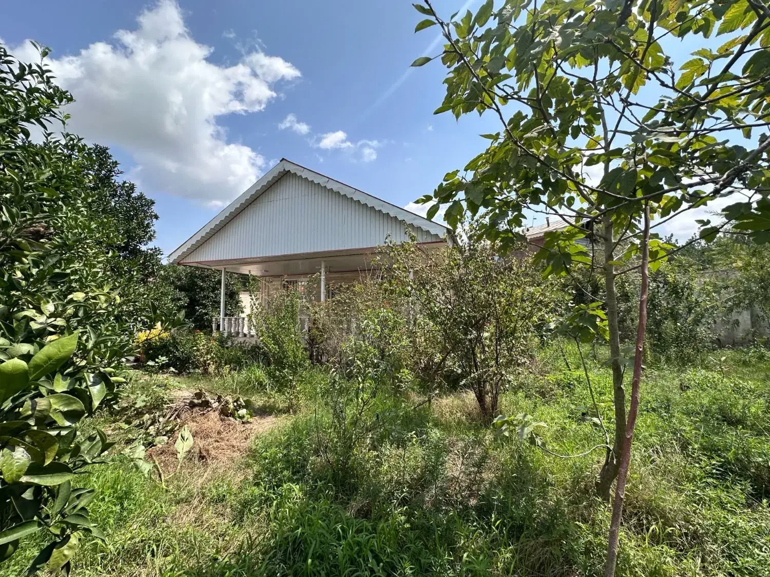 ویلاباغ 2 خوابه فومن 600 متر سند تک برگ|فروش خانه و ویلا|فومن, |دیوار