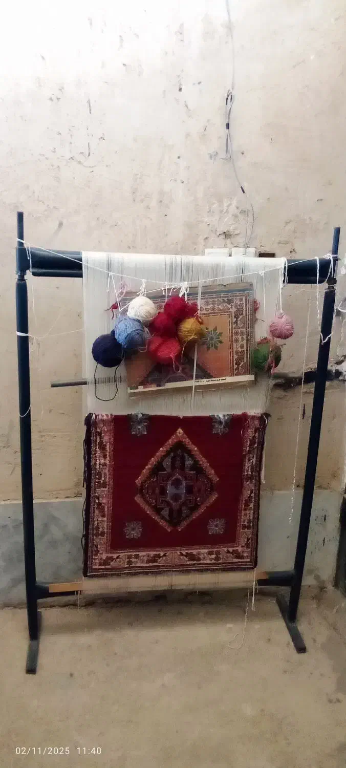 دارقالی باقالی ۵۰ درصدبافته شده|فرش|جهرم, |دیوار