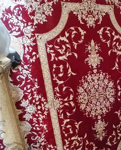 قالی|فرش|گرگان, |دیوار