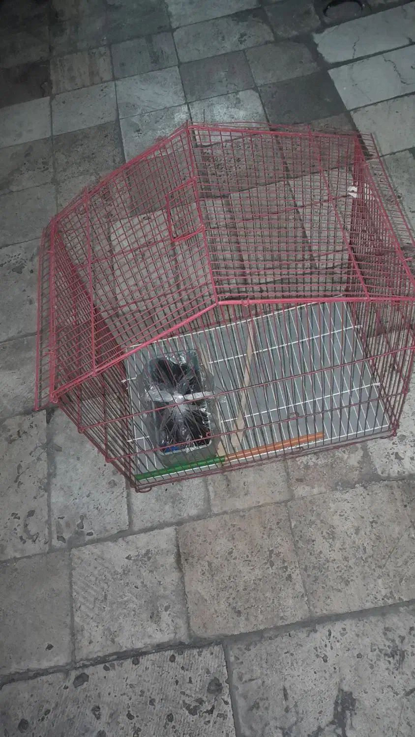 قفس پرنده|لوازم جانبی حیوانات|تهران, باغ خزانه|دیوار