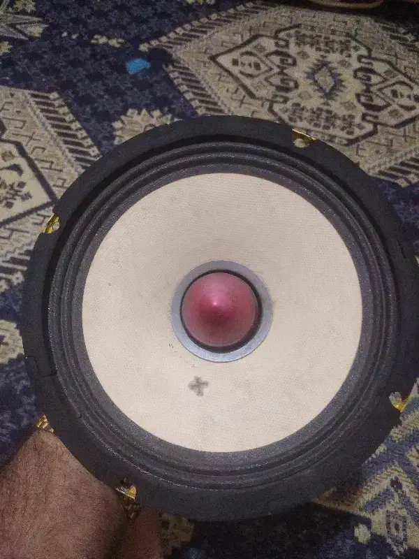 میدرنج هکتور اصلی|قطعات یدکی و لوازم جانبی|مراغه, |دیوار