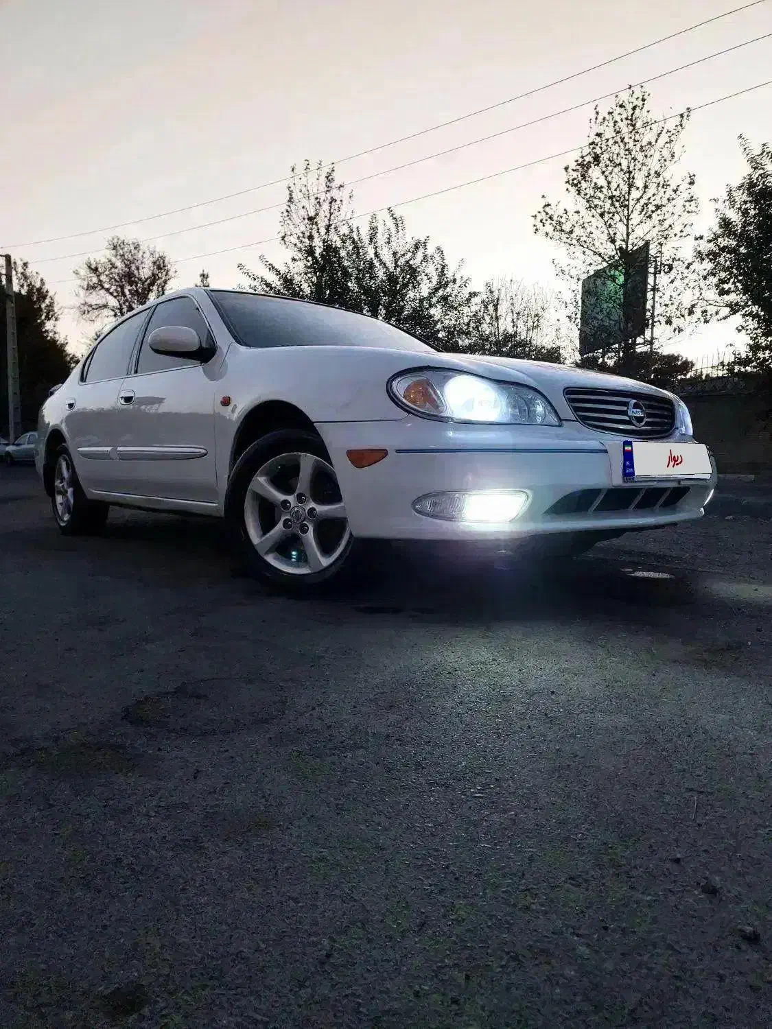 ماکسیما دنده ای مدل 2009 سفید مشابه صفر کم کارکرد|خودرو سواری و وانت|تهران, آهنگ|دیوار