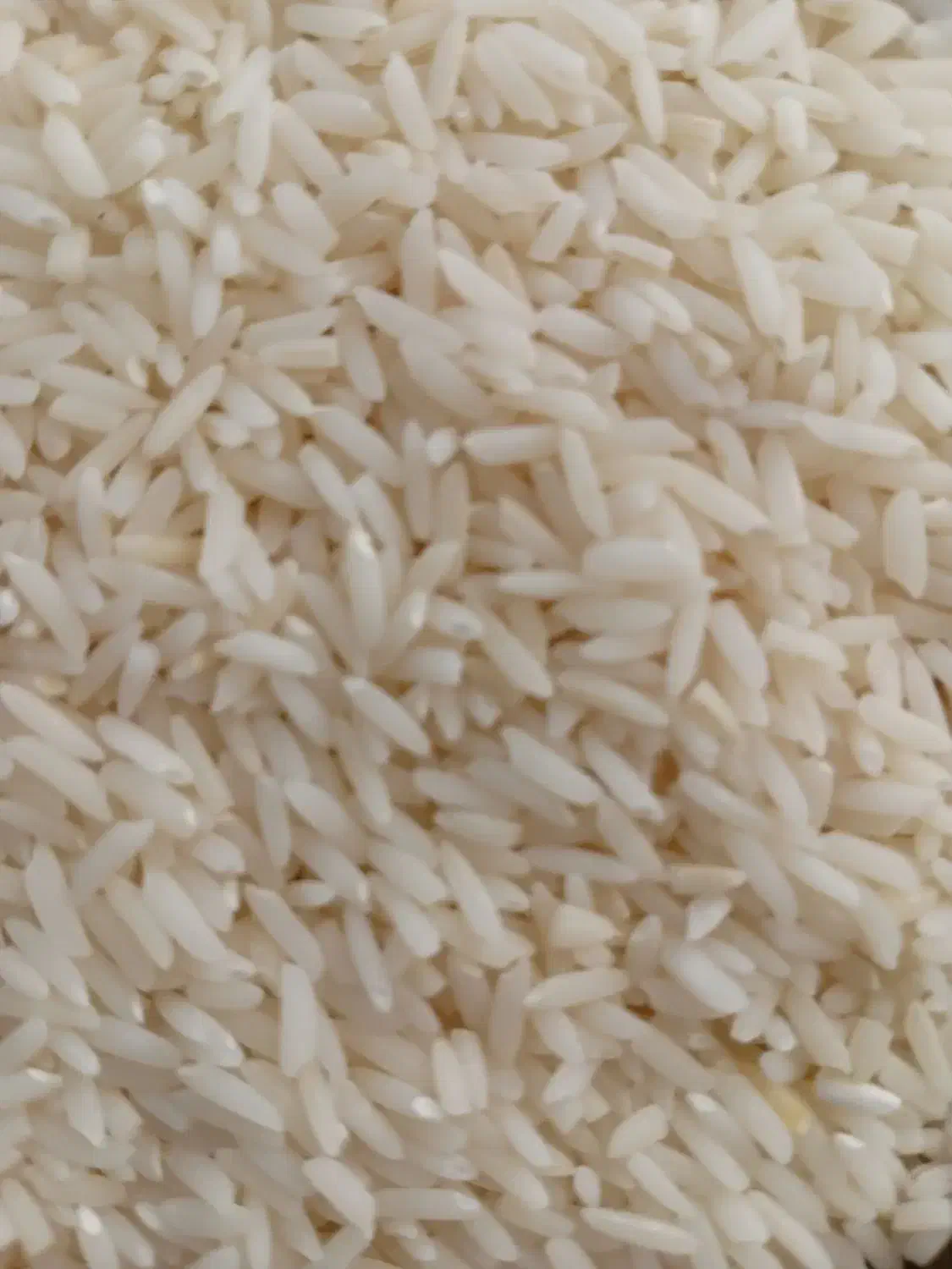 برنج‌هاشمی|خوردنی و آشامیدنی|رشت, خواهر امام|دیوار