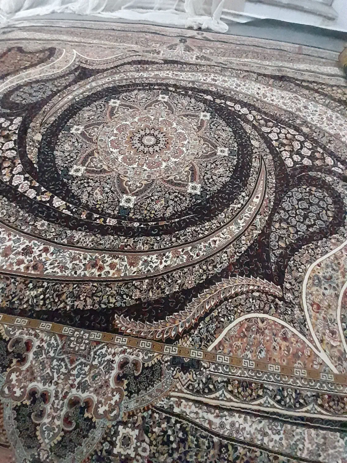 فرش کهکشانی ۹متره|فرش|اردبیل, |دیوار