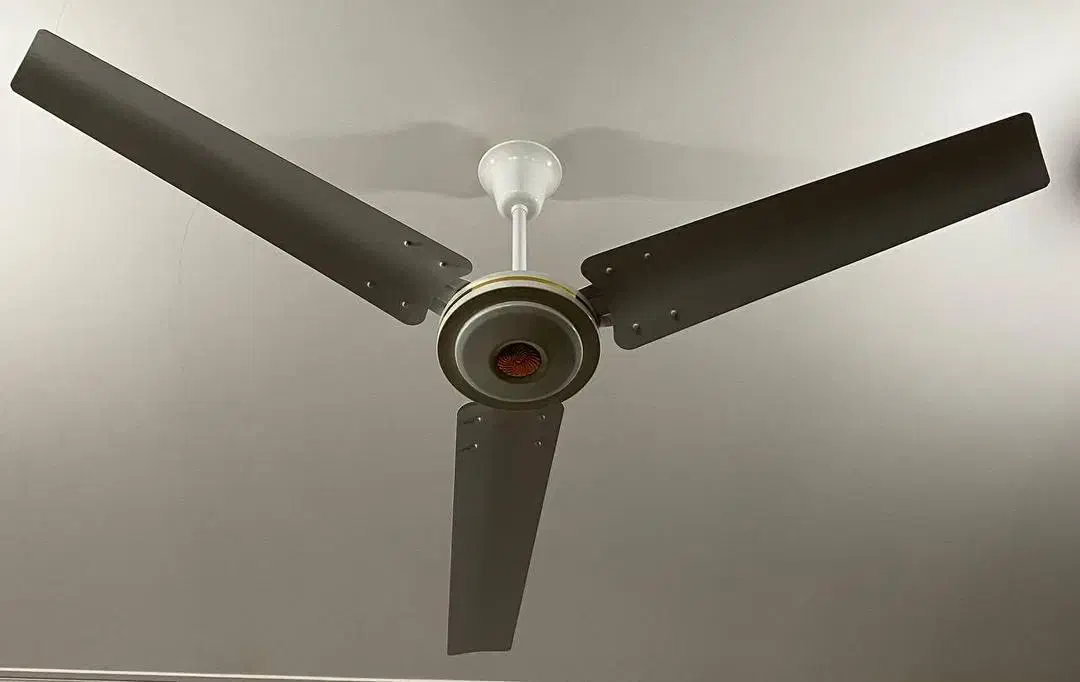 وسایل منزل|پرده، رانر، رومیزی|بندر ترکمن, |دیوار