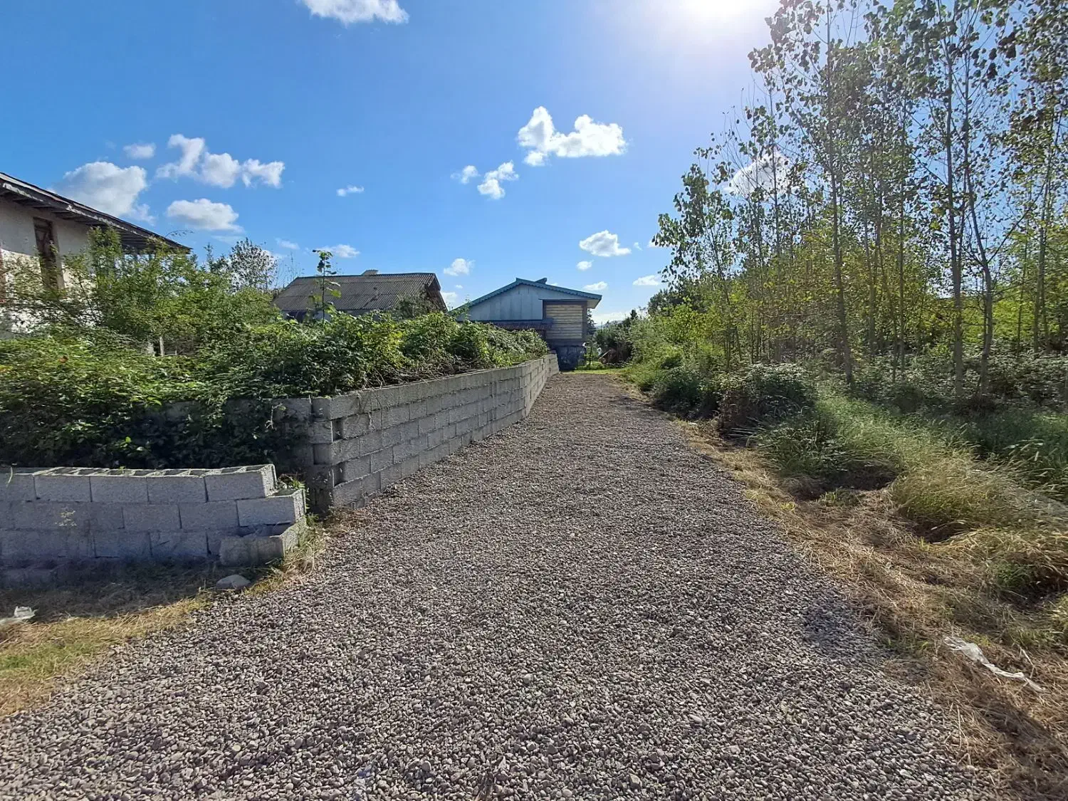 زمین مسکونی دوردیوار در روستای مردخه|فروش زمین و ملک کلنگی|شفت, |دیوار