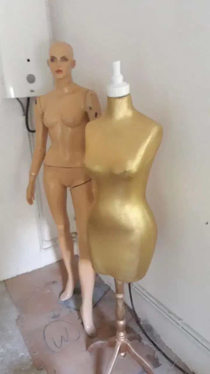 مانکن های کله و بدن ایتالیایی|آرایشی، بهداشتی، درمانی|اردبیل, |دیوار