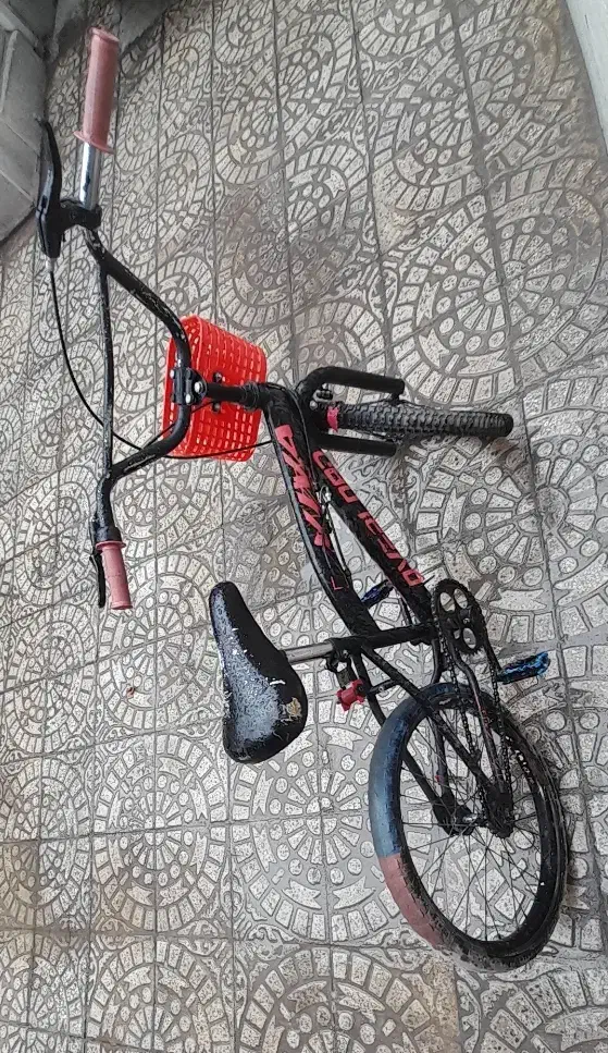 دوچرخه سایز ۲۰|دوچرخه، اسکیت، اسکوتر|اصفهان, مفتح|دیوار